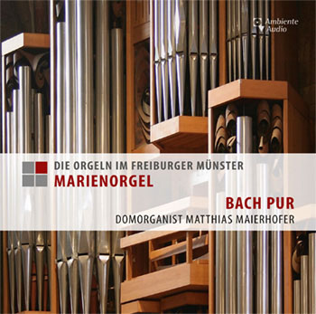 Freiburg Cathedral: St. Mary's Organ (one of 4 organs) Freiburg Cathedral: St. Mary's Organ (one of 4 organs)